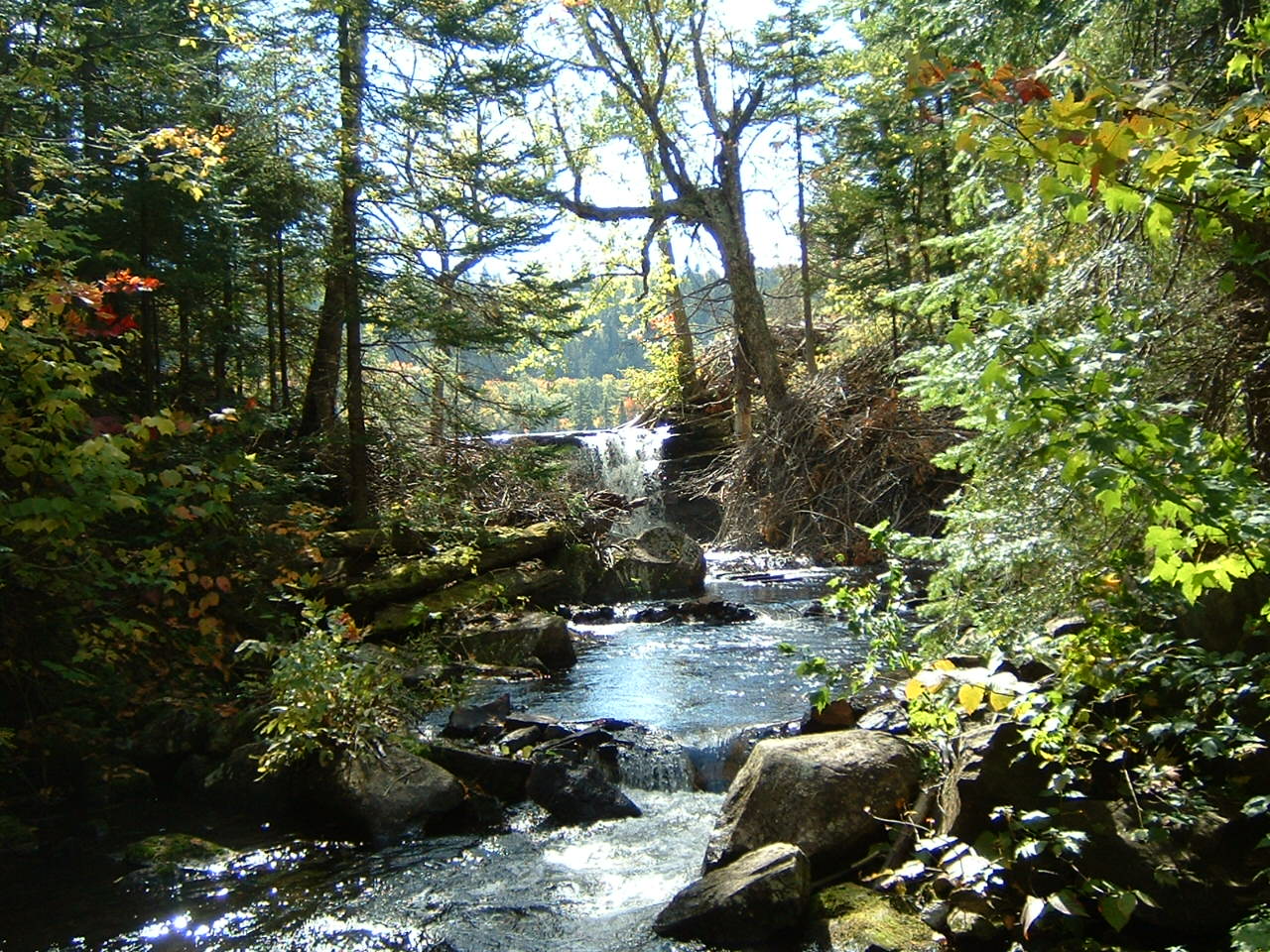 ZEC-des-Nymphes-source lanaudiere.ca