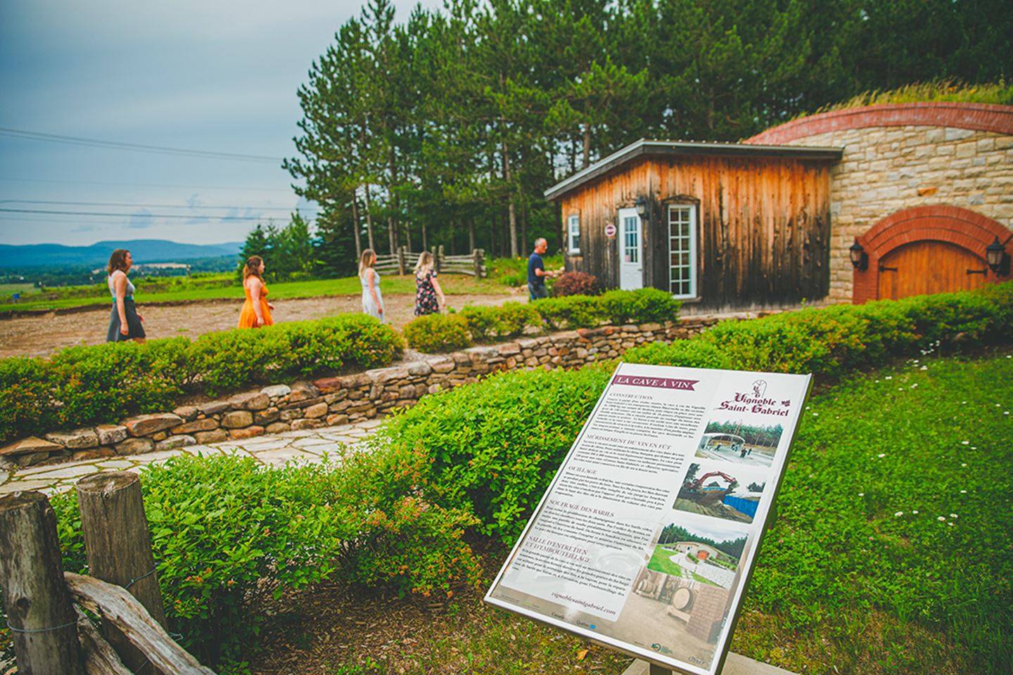 vignoble-st-gabriel-Simon-Laroche1