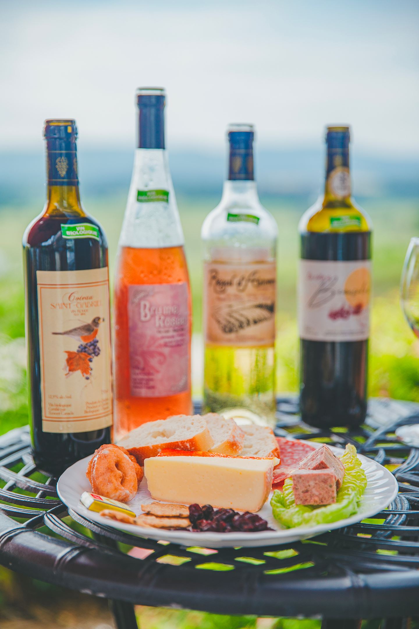 vignoble-st-gabriel-Simon-Laroche100