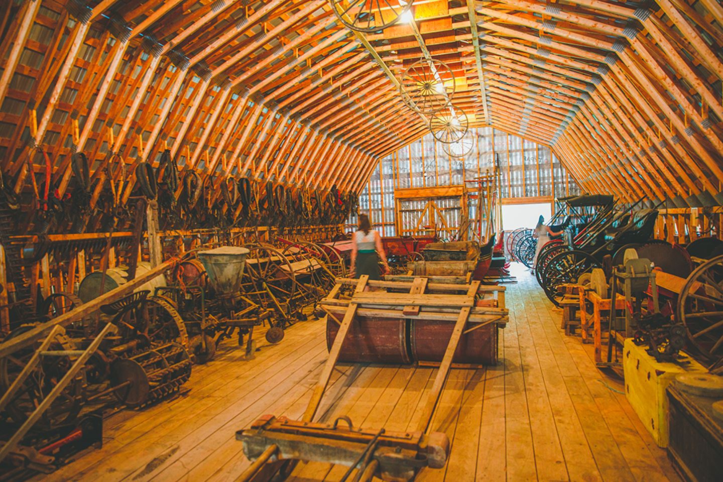 vignoble-st-gabriel-Simon-Laroche43