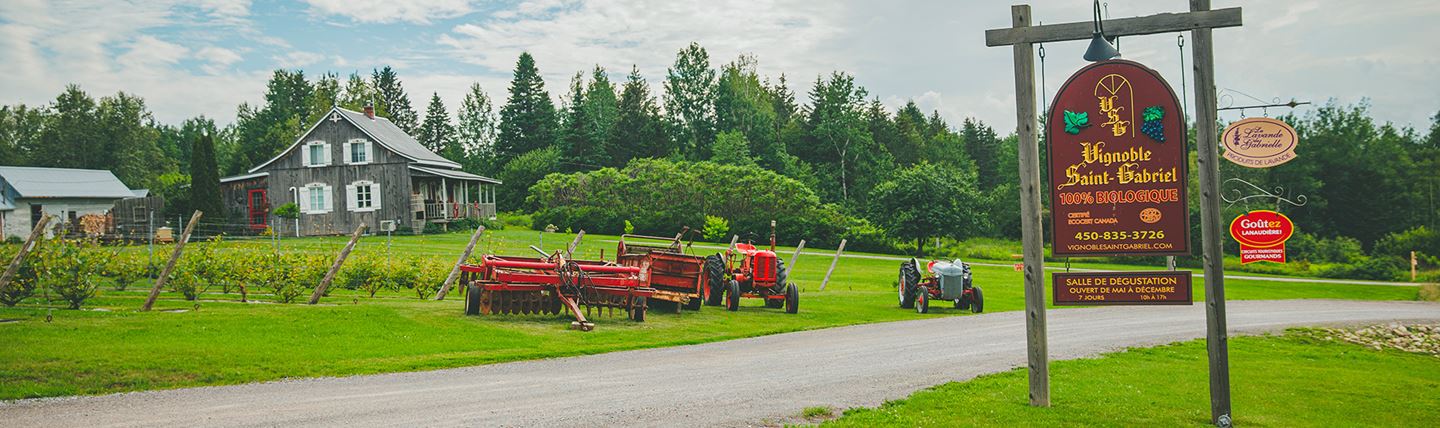 vignoble-st-gabriel-Simon-Laroche82